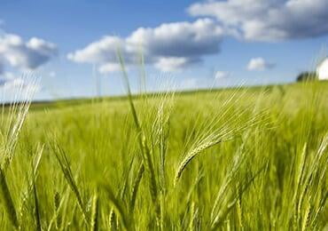 Korea Advanced Institute of Science and Technology (KAIST), announced the environmental strategy for bio-based PA production!